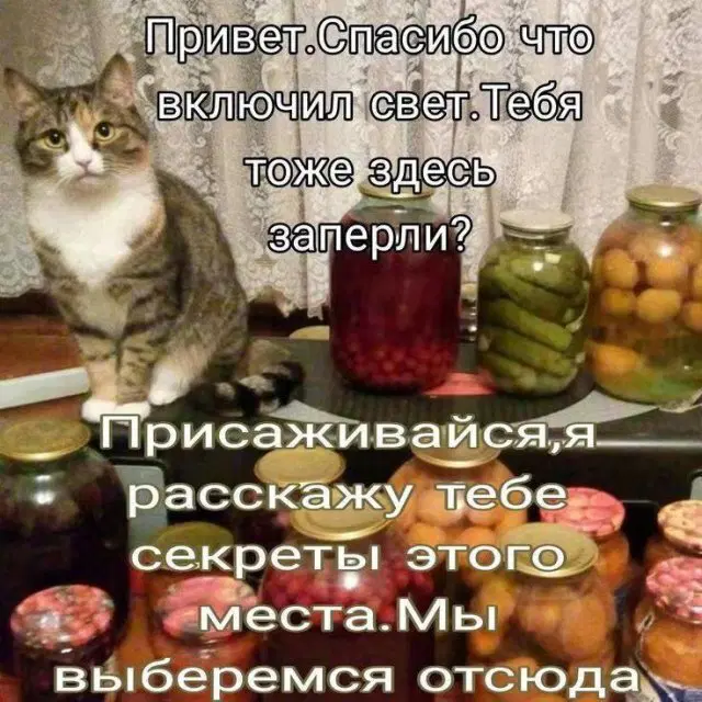 Дичи на среду
