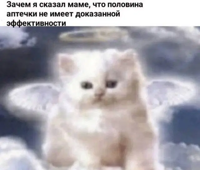 Дичи на среду