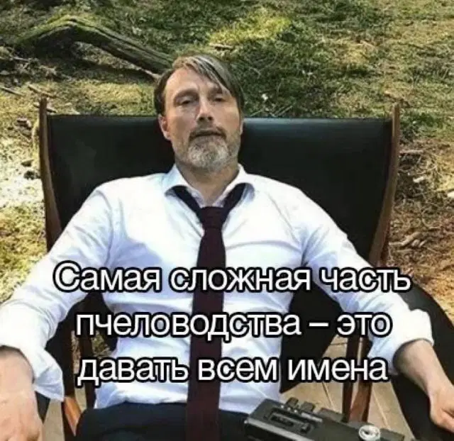 Дичи на среду