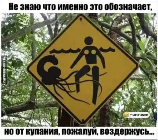 Дичи на среду