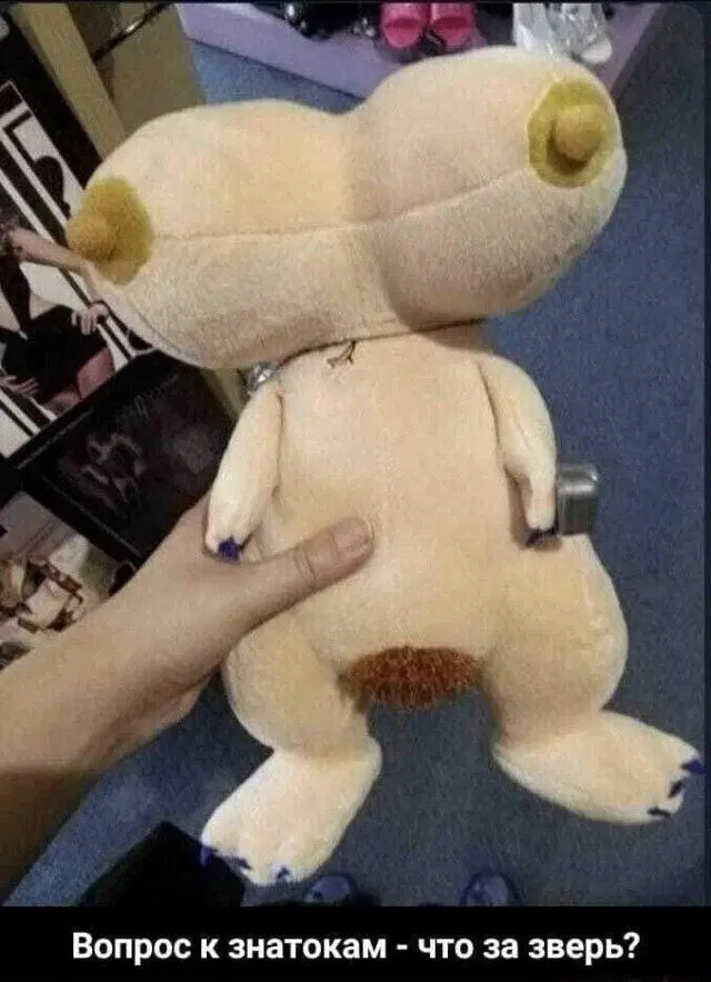 Дичи на среду