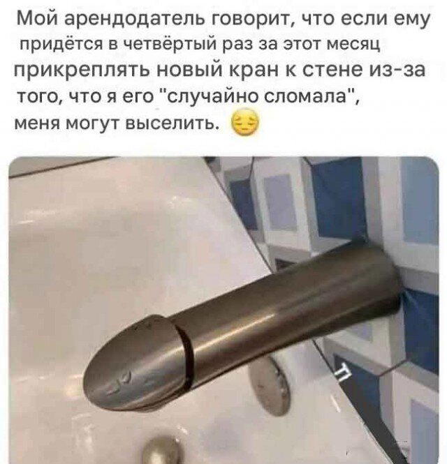 Дички к среде