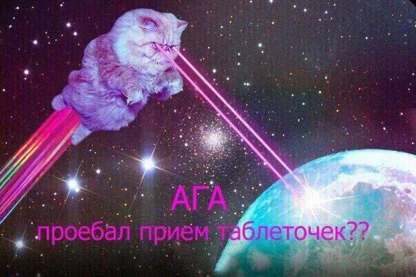 Дички к среде