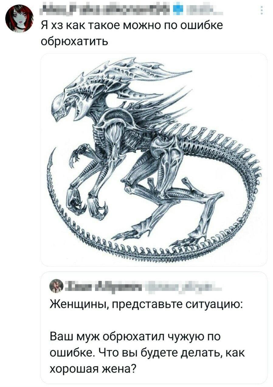 Дички к среде