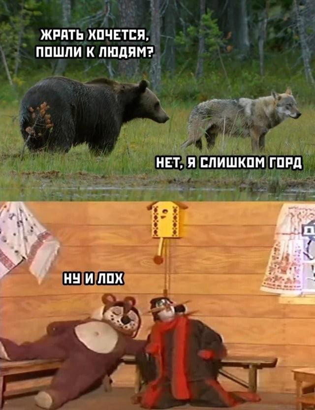 Дички к среде
