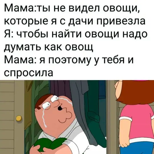 Дички к среде