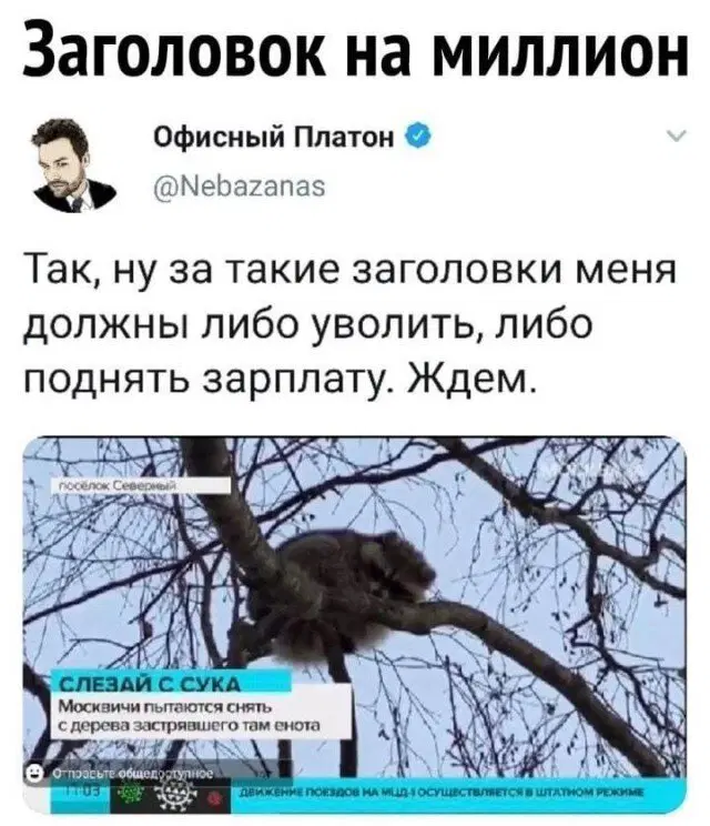Четвердич