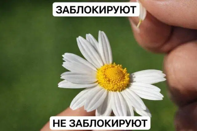 Четвердич