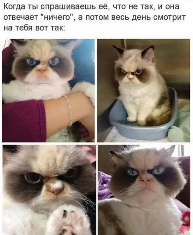 Суровая правда совместной жизни