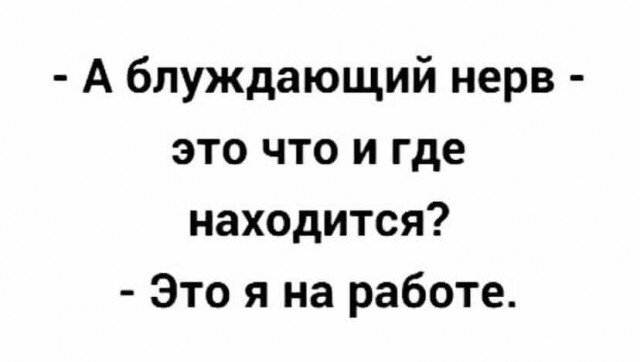 Субботняя дичка