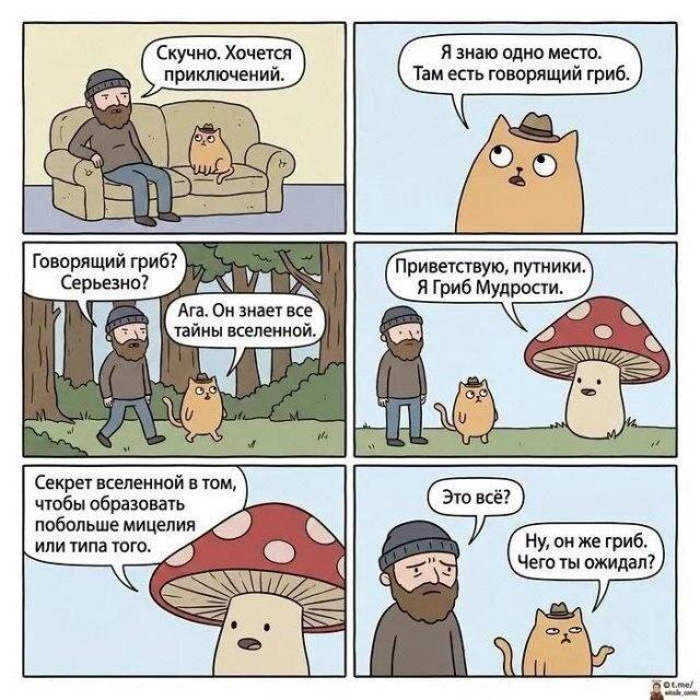 Субботняя дичка