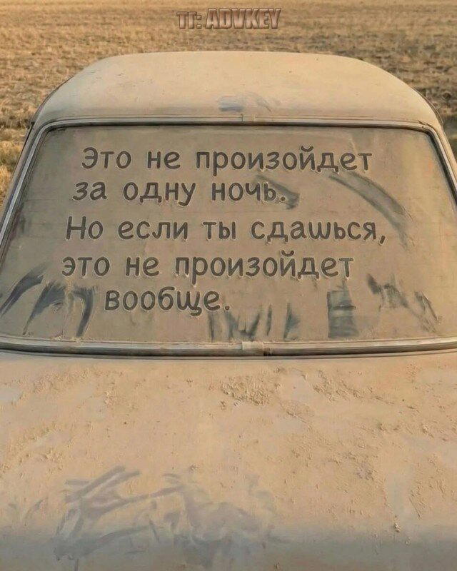 Субботняя дичка