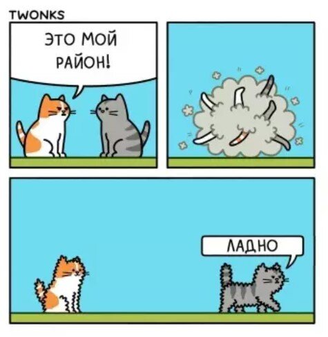 Субботняя дичка