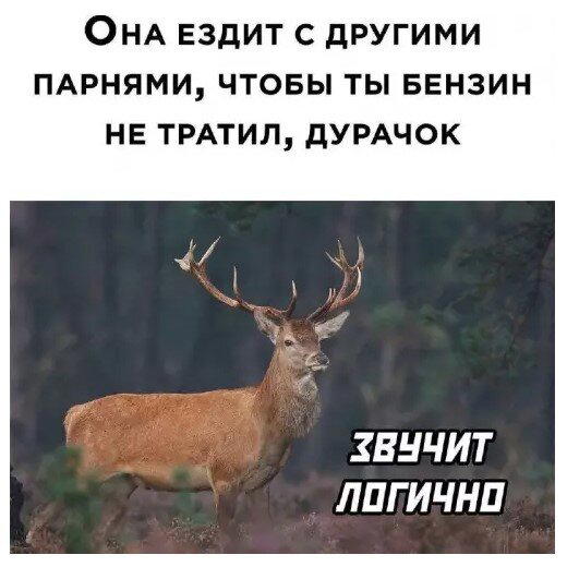 Субботняя дичка
