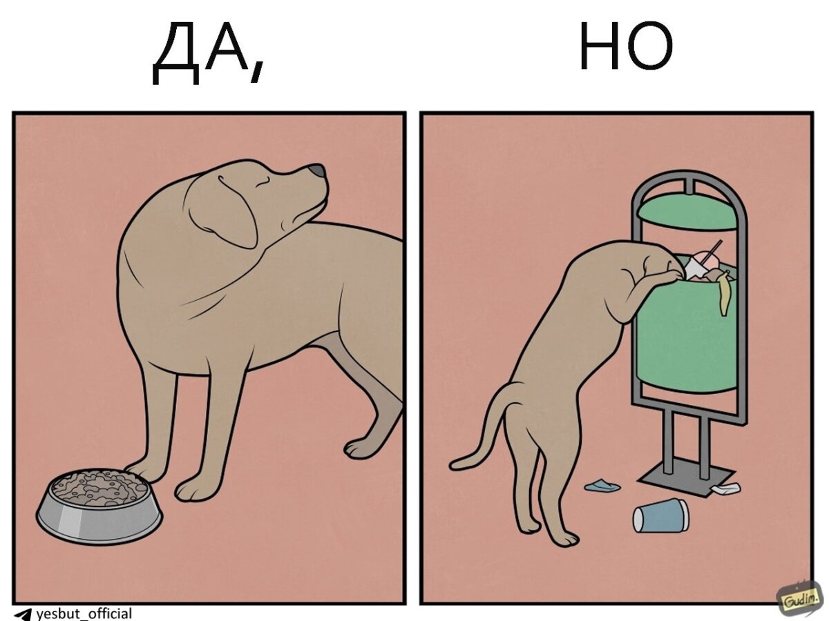 Собачьи Да, но