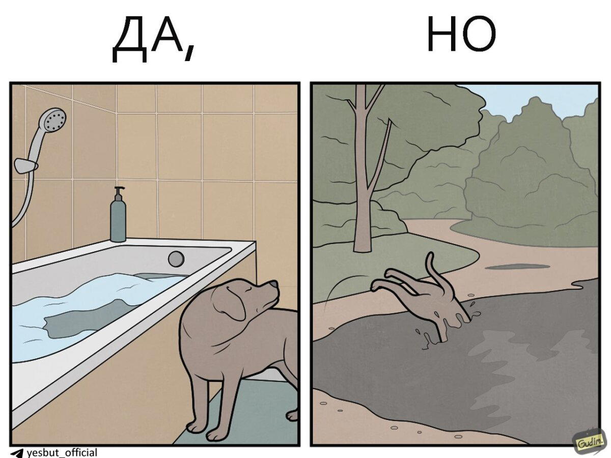 Собачьи Да, но