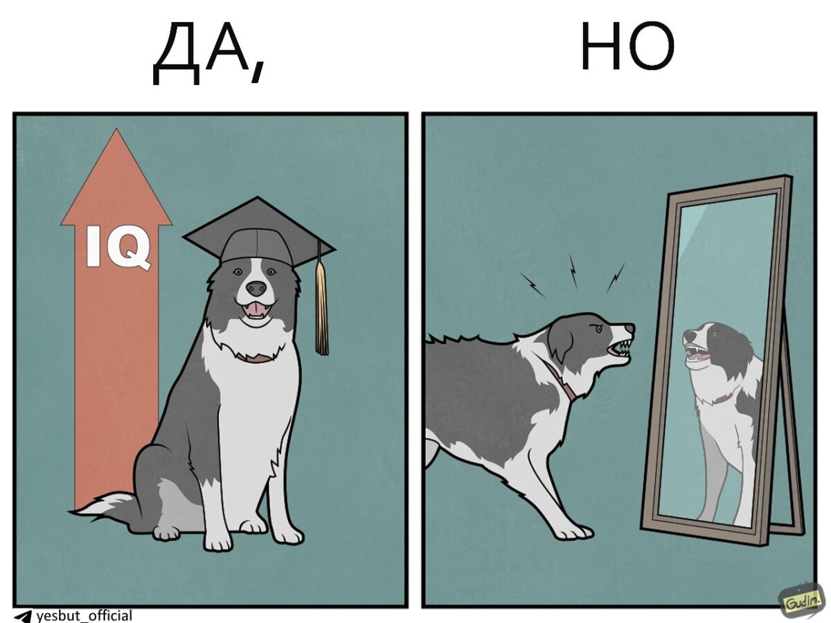 Собачьи Да, но