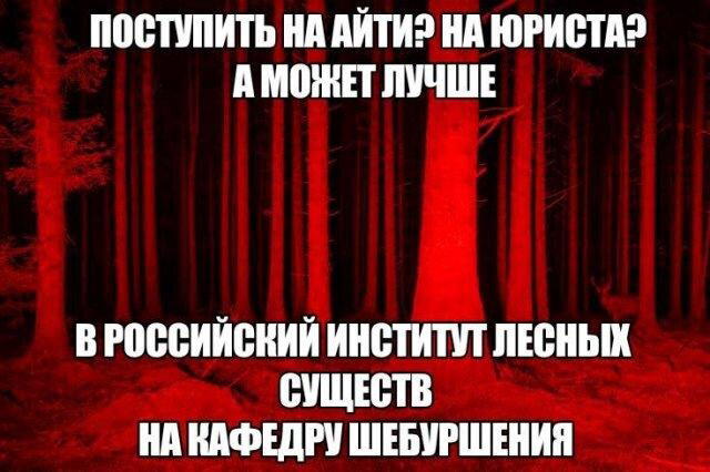 Четверх дичко
