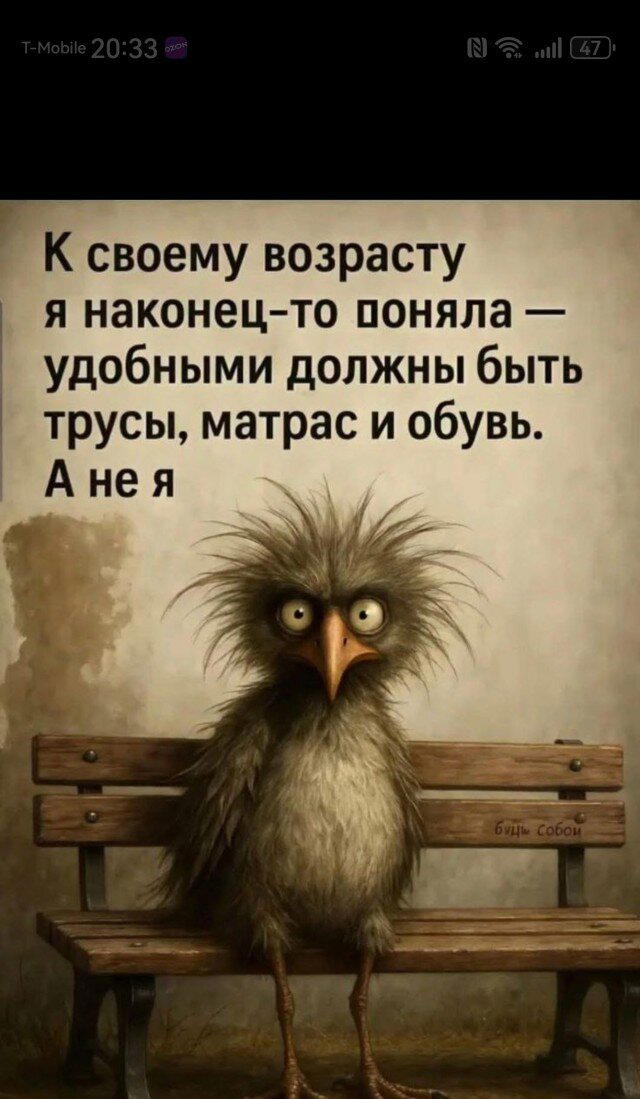 Четверх дичко