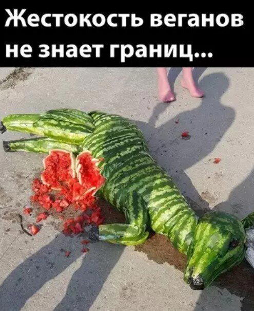 Четверх дичко
