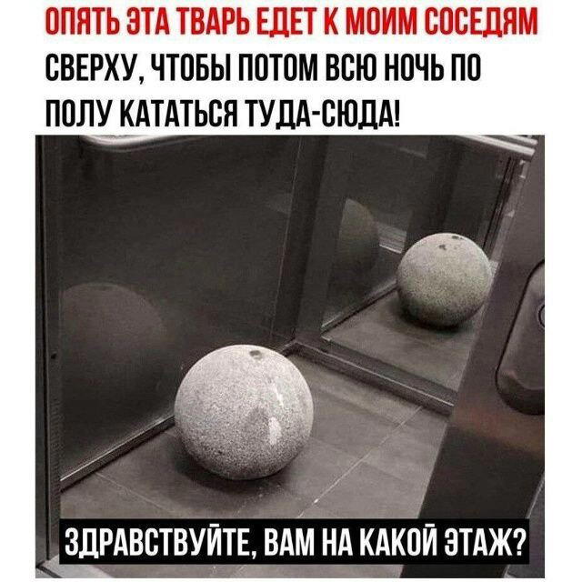 Четверх дичко
