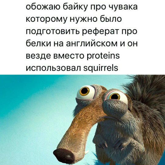 Четверх дичко