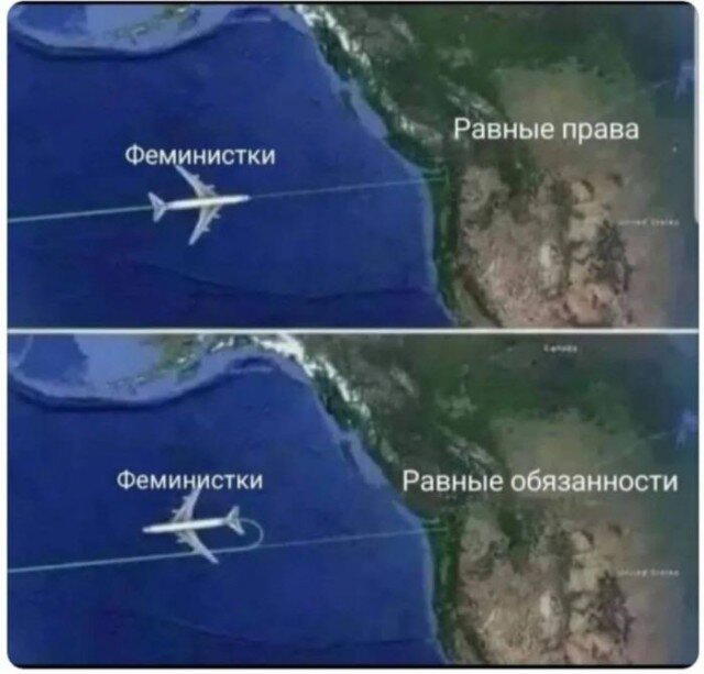 Дичка тихая