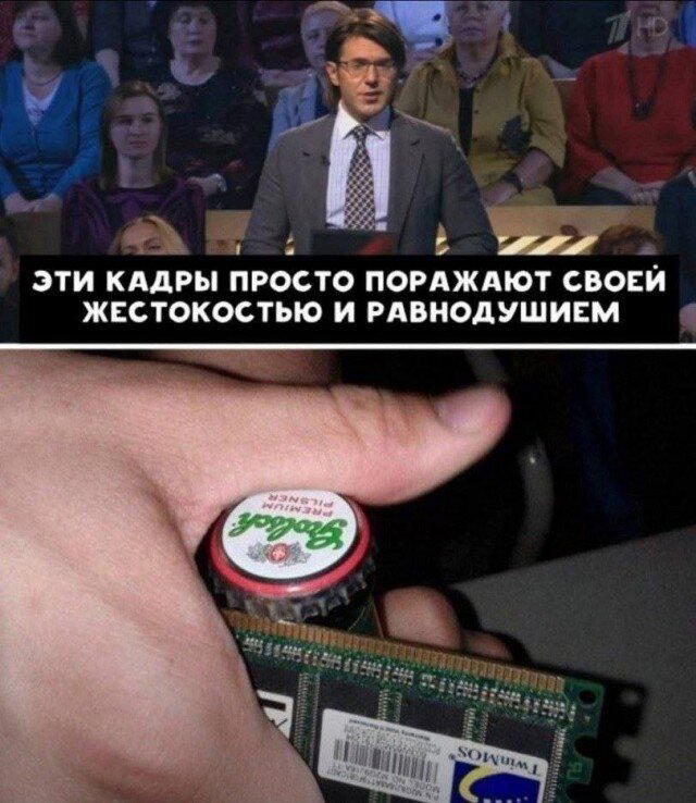 Дичка тихая