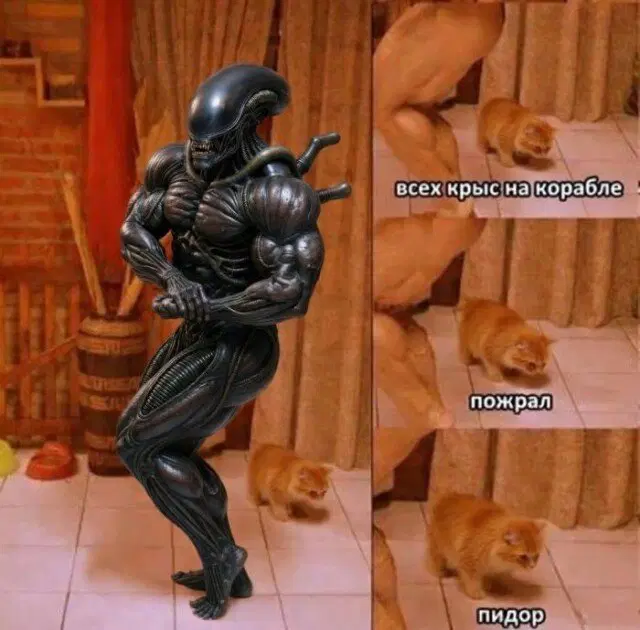 Дичка тихая