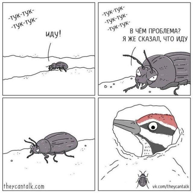 Дичка тихая