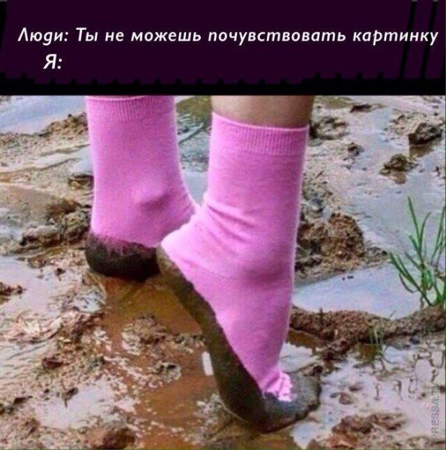 Дичка тихая