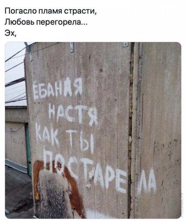 Дичка тихая