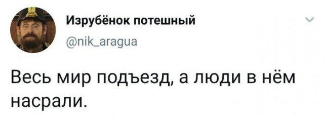 Дичка тихая