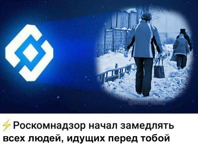 Дичка тихая