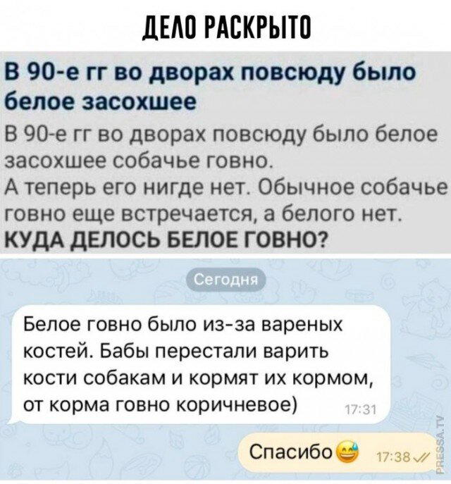 Дичка тихая