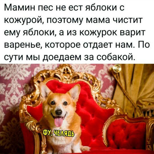 Суббота и без дички?