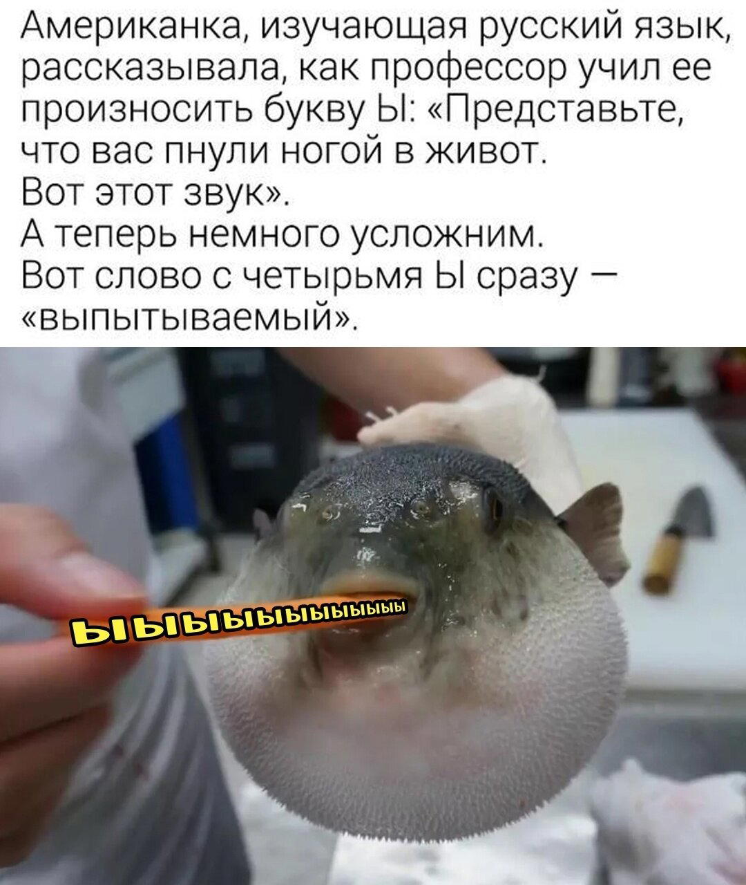 Суббота и без дички?