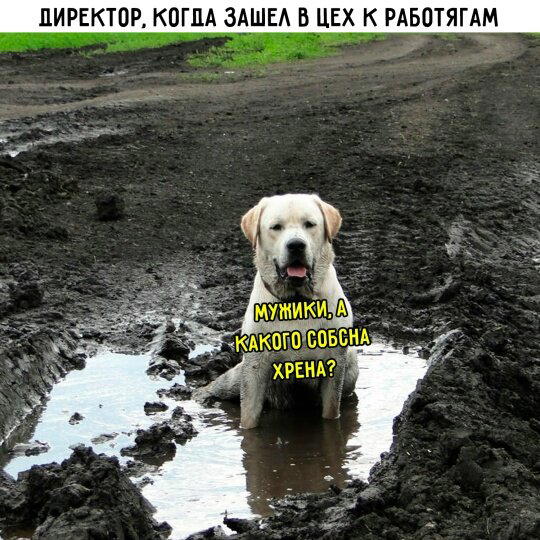 Суббота и без дички?