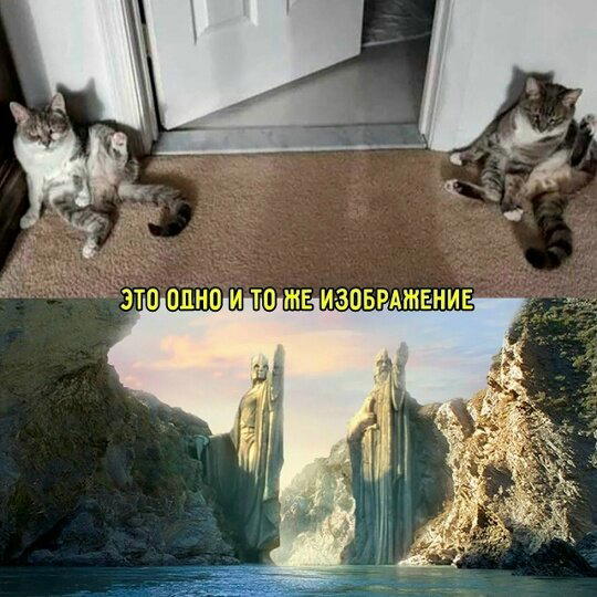 Суббота и без дички?