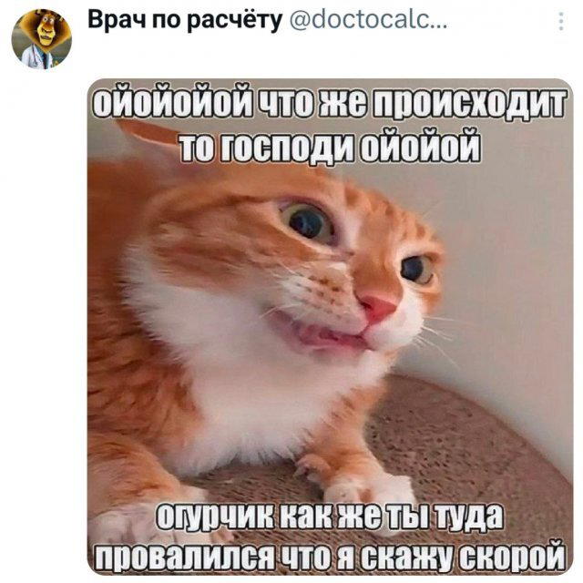 Суббота и без дички?