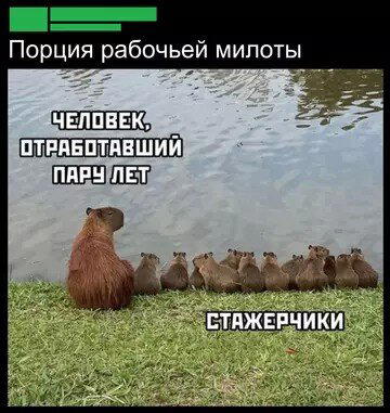 Суббота и без дички?