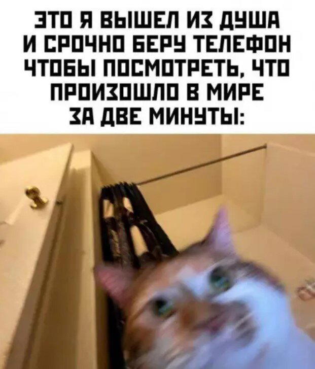 Суббота и без дички?
