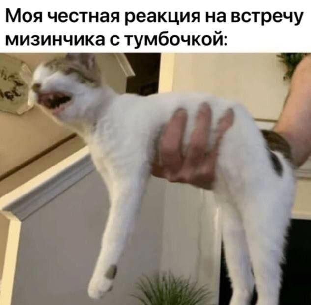 Дичка с с с субботняя