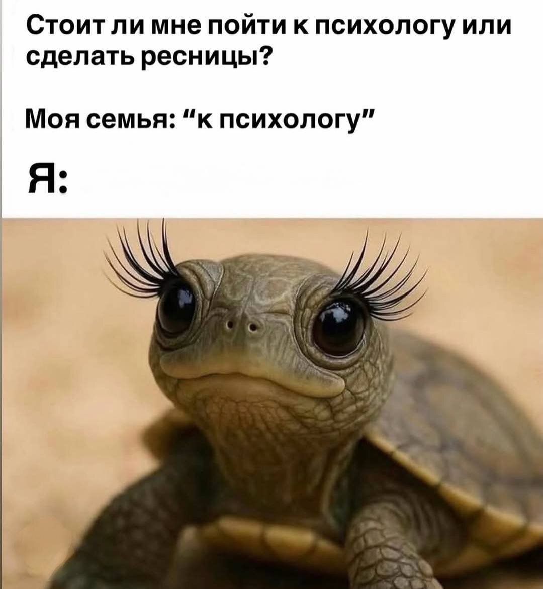 Дичка с с с субботняя
