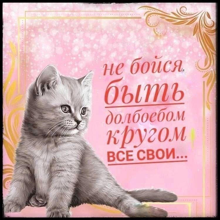 Дичка с с с субботняя