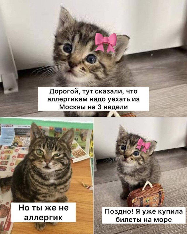 Дичка среда это маленькая четвердичка