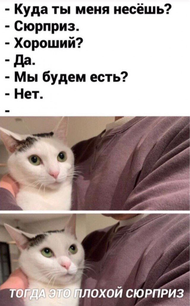 Дичка среда это маленькая четвердичка