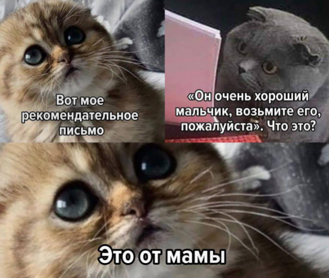 Дичка среда это маленькая четвердичка