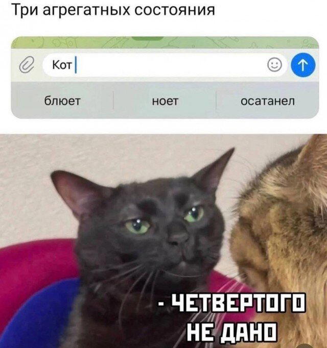 Дичка среда это маленькая четвердичка