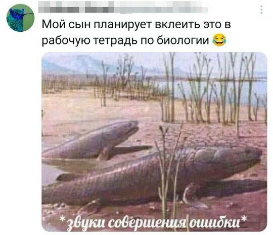 Дичка среда это маленькая четвердичка